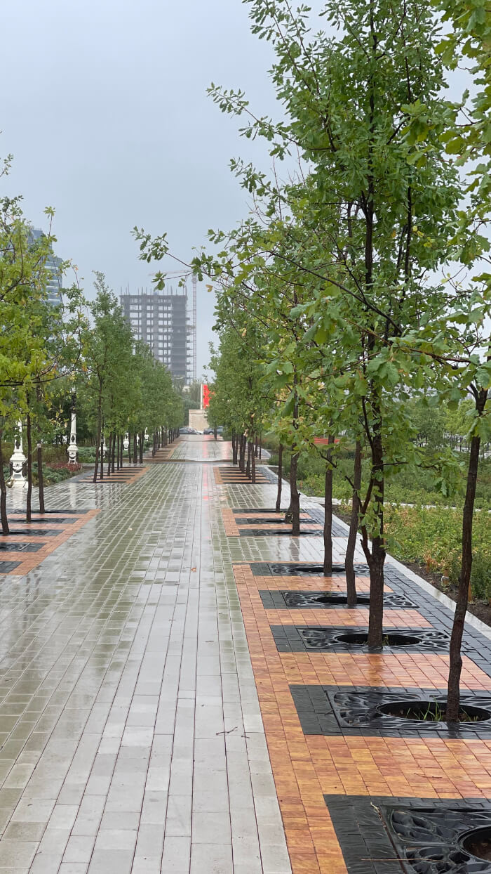 Приствольная решетка для дерева ZKING CRUST 1.2х1.2м Черная в Ташкенте фото